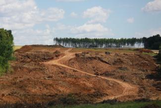 &laquo;Это настоящее головотяпство!&raquo;: казанцы спасают озеро, которое гибнет из-за строительства Вознесенского тракта