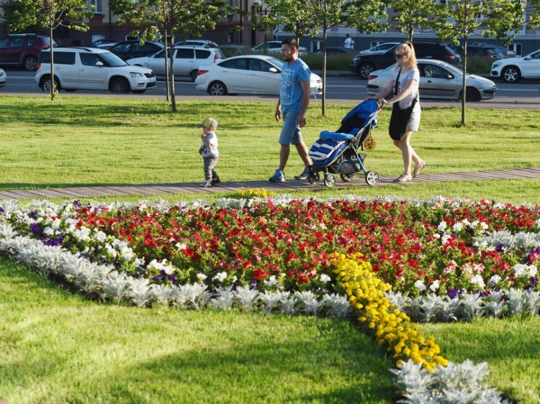 Выходные в Казани: экскурсия с министром спорта РТ, ярмарка иллюстраторов, танцы на Кремлевской набережной