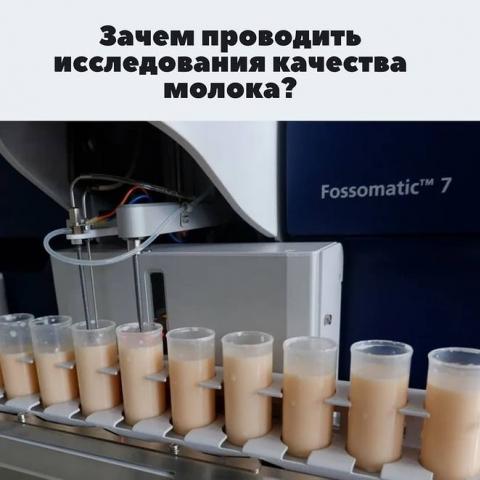 Зачем проводить исследования качества молока?