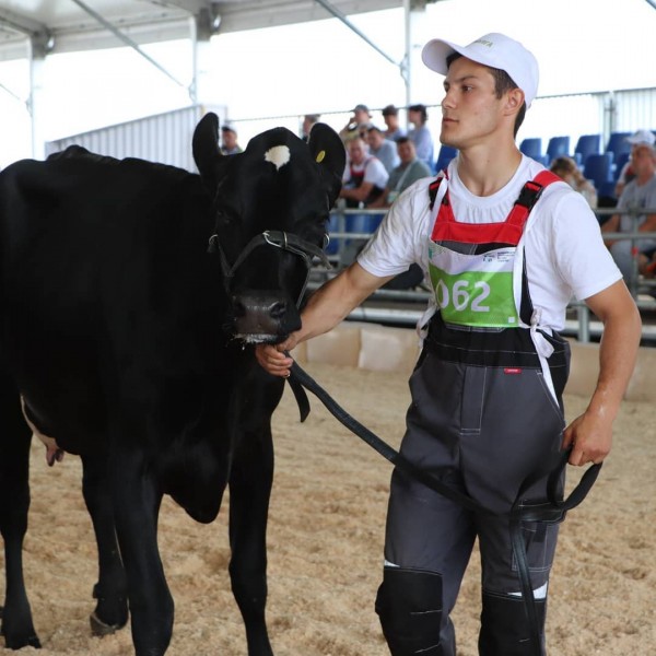 В Татарстане выбрали самую красивую корову (ФОТО)