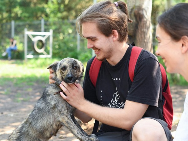 На акции в Горкинско-Ометьевском лесу казанцы обрели новых четвероногих друзей