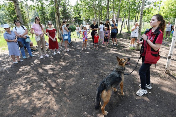 На акции в Горкинско-Ометьевском лесу казанцы обрели новых четвероногих друзей