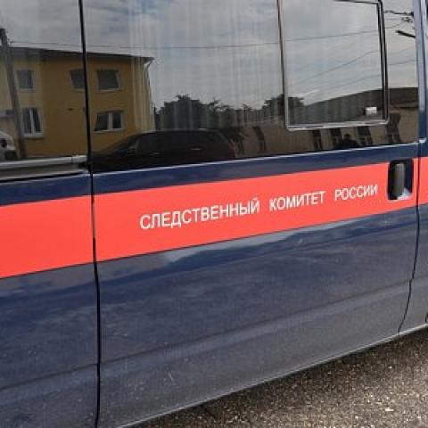 В Москве трое подростков надругались над школьницей, сняв изнасилование на видео