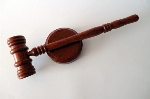 В Татарстане будут судить хозяйку енота, искусавшего младенца