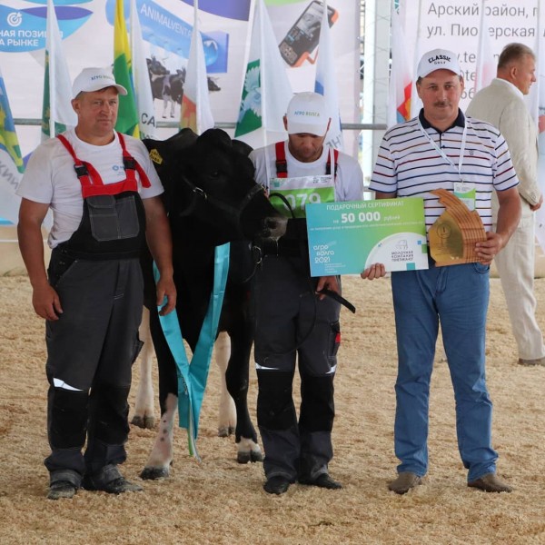 В Татарстане выбрали самую красивую корову (ФОТО)