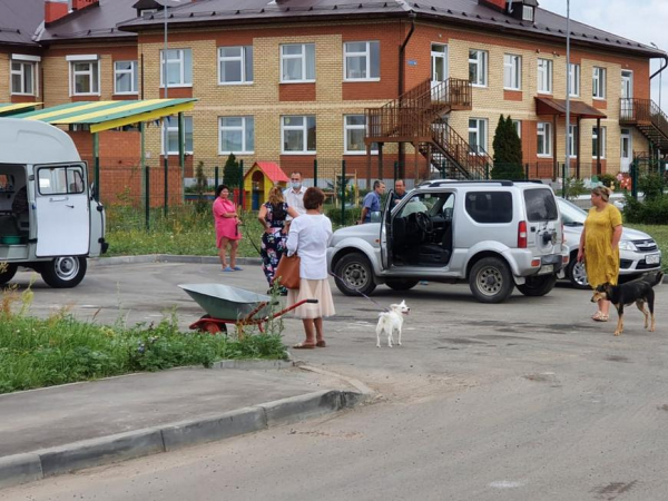 В мобильном пункте в Кадышево вакцинировали от бешенства семь животных