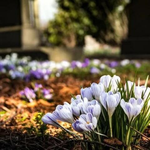 Пропавшую под Волгоградом женщину нашли мертвой на могиле ее погибшей дочери