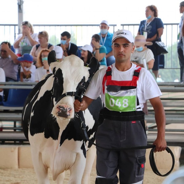 В Татарстане выбрали самую красивую корову (ФОТО)
