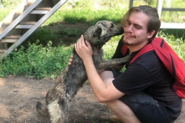 &laquo;Сразу поняла, что это &laquo;моя&raquo; собака&raquo;: шесть обитателей казанского приюта &laquo;Зооцентр&raquo; нашли себе дом