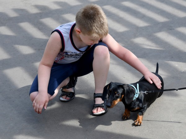 Афиша Казани на выходные: необычные сорта мороженого, танцы с балериной и общение с четвероногими