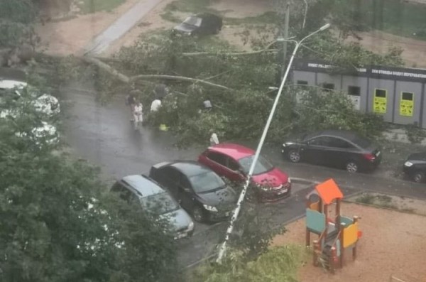 В Казани из-за сильного ветра на двух женщин и ребенка рухнуло дерево