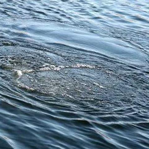 В Татарстане водитель погиб, съехав на машине в реку