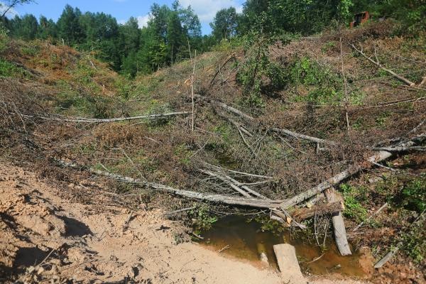 &laquo;Это настоящее головотяпство!&raquo;: казанцы спасают озеро, которое гибнет из-за строительства Вознесенского тракта