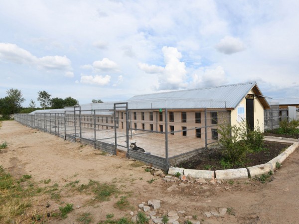 И.Метшин: «Мы ставим перед собой задачу – сделать Казань городом без брошенных животных» И.Метшин: «Мы ставим перед собой задачу – сделать Казань городом без брошенных животных»