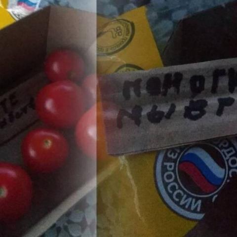 Женщина обнаружила в купленных помидорах записку с мольбой о помощи