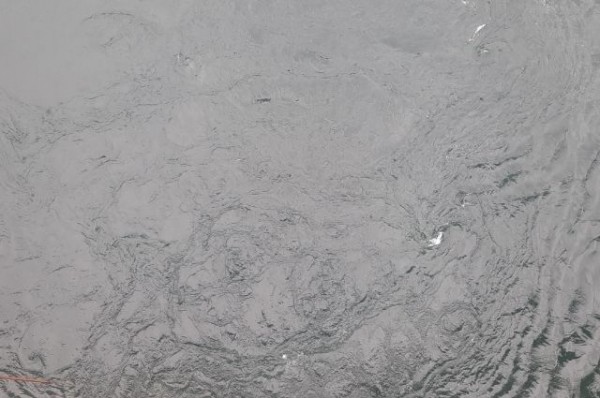 В Казани подтвердилась массовая гибель рыбы на Среднем Кабане