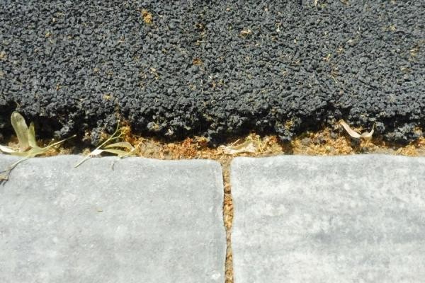 &laquo;Все бегуны уже сбежали отсюда&raquo;: новенькая беговая дорожка на Черном озере пошла пузырями и трещинами