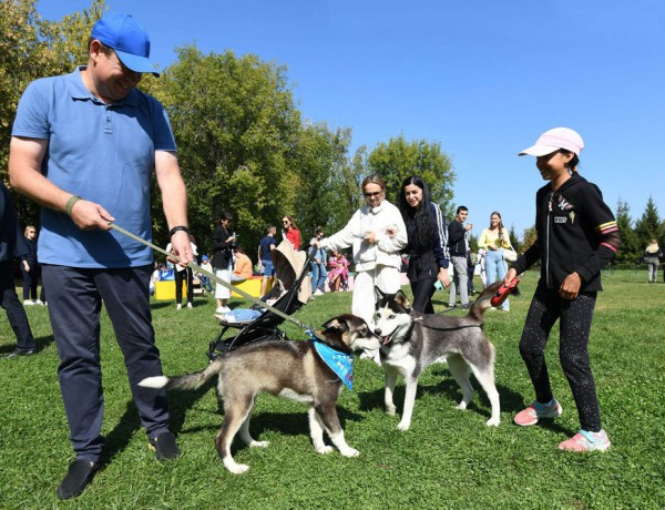 Ильсур Метшин взял из приюта четвероногого друга &ndash; он назвал собаку Аявриком