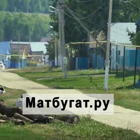 До конца приема заявок на участие в конкурсе "Блогер.Татар" осталось несколько дней (ВИДЕО)