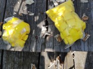 Альметьевские полицейские изъяли крупну партию наркотиков