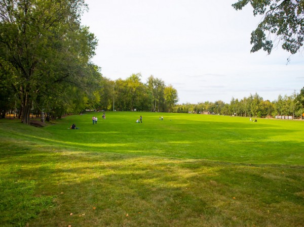 Казанцев приглашают на спектакль под открытым небом «О чем поют деревья» Казанцев приглашают на спектакль под открытым небом «О чем поют деревья»