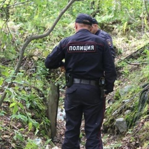 Маляр из Адыгеи изнасиловал в парке малолетнюю дочь известной в России рок-певицы