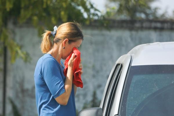&laquo;Они узнали вкус крови и уже не остановятся&raquo;: под Казанью стая псов растерзала телят на ферме, на очереди - люди?