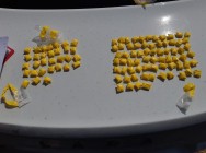 Альметьевские полицейские изъяли крупну партию наркотиков