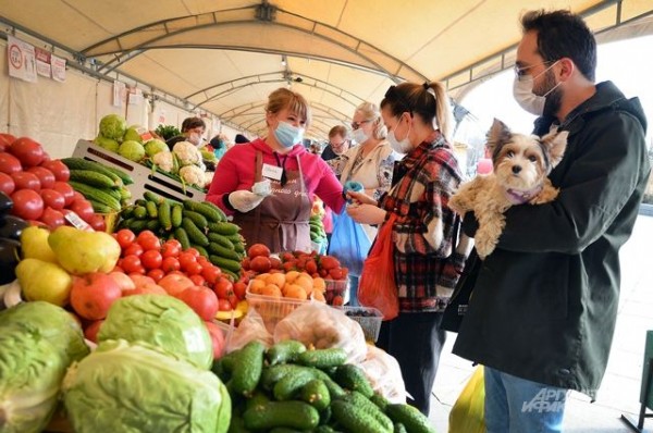 Правильно применять кассу бесплатно научат налоговики Татарстана