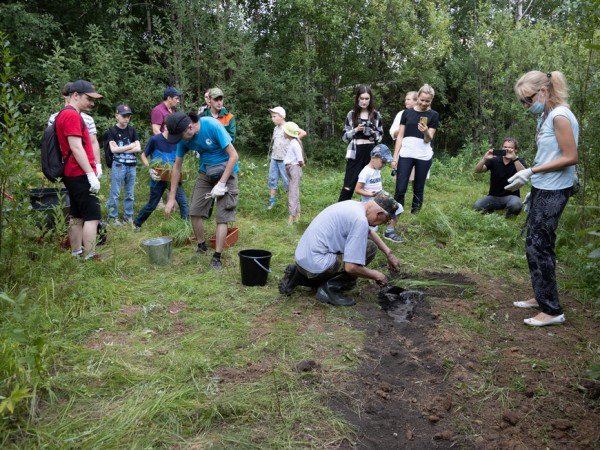 На территории нового питомника в Казани высаживают порядка 700 корней краснокнижного растения – ириса сибирского На территории нового питомника в Казани высаживают порядка 700 корней краснокнижного растения – ириса сибирского