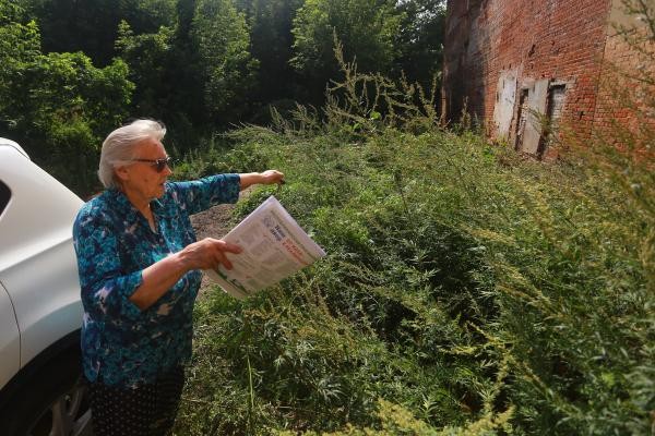 «Обманом украли у нас двор!»: жильцы дома в центре Казани обвиняют городские власти в подлоге и воровстве «Обманом украли у нас двор!»: жильцы дома в центре Казани обвиняют городские власти в подлоге и воровстве