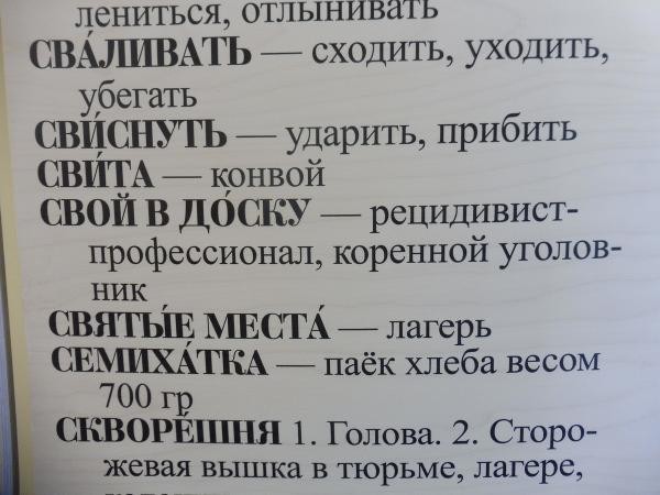 &laquo;Интеллигента - по скворешне и на кишкодром&raquo;: казанцам предлагают подучить язык советских зэков