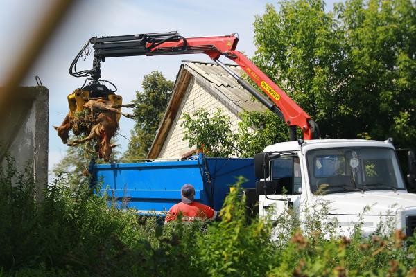 &laquo;Они узнали вкус крови и уже не остановятся&raquo;: под Казанью стая псов растерзала телят на ферме, на очереди - люди?