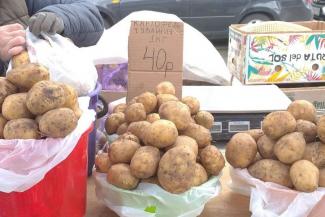 &laquo;Гнут цену в два-три раза выше&raquo;: татарстанские фермеры ругают перекупщиков, взвинтивших цены на картошку