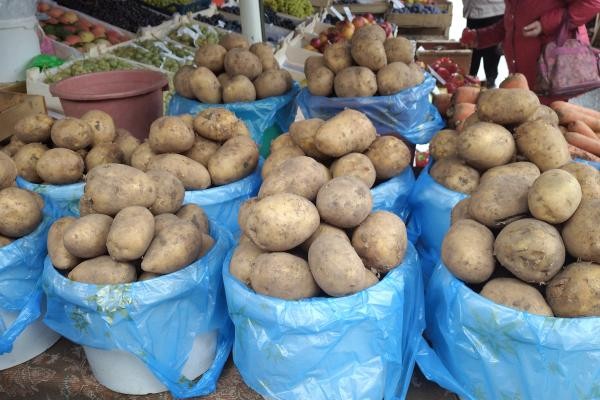 &laquo;Гнут цену в два-три раза выше&raquo;: татарстанские фермеры ругают перекупщиков, взвинтивших цены на картошку