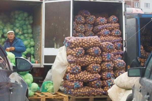 &laquo;Гнут цену в два-три раза выше&raquo;: татарстанские фермеры ругают перекупщиков, взвинтивших цены на картошку