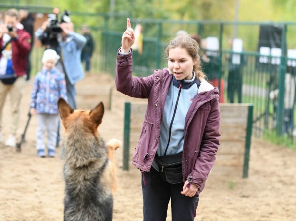 На акции &laquo;Лапа дружбы&raquo; в парке им.Урицкого хозяев обрели четыре собаки из приюта