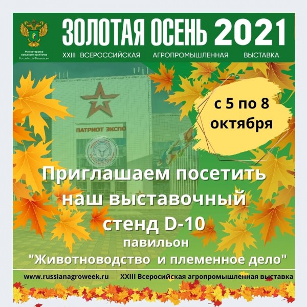 "Элита" примет участие в агропромышленной выставке "Золотая осень – 2021" "Элита" примет участие в агропромышленной выставке "Золотая осень – 2021"