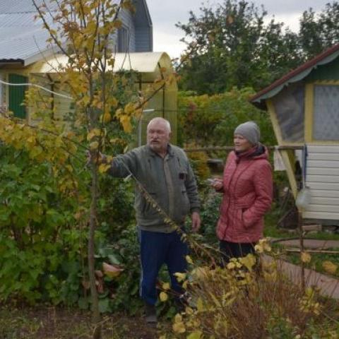 Осенние работы в огороде после засушливого лета