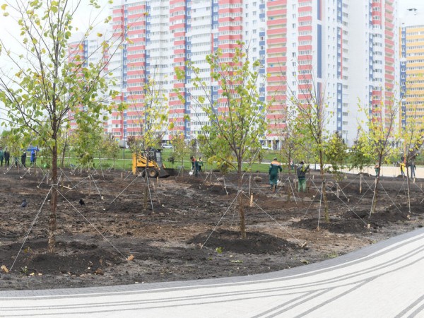 Ильсур Метшин вместе со школьниками на территории нового парка в &laquo;Салават Купере&raquo; посадил саженцы черемухи