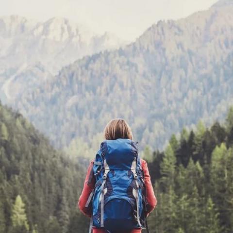 Москвичка, пропавшая две недели назад в тайге, найдена живой. Ее муж умер