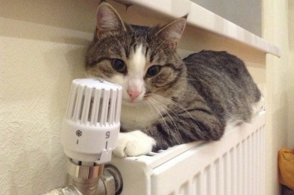 Почему во многих домах нет тепла, рассказали в мэрии Казани Почему во многих домах нет тепла, рассказали в мэрии Казани