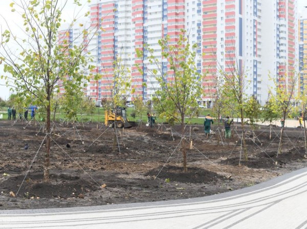 Топ-5 новостей недели: итоги выборов, &laquo;поезд родных языков&raquo; в метро и масштабное озеленение в &laquo;Салават Купере&raquo;