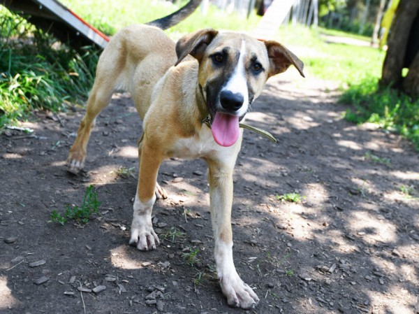Ильсур Метшин провел общее собрание членов Ассоциации городов Поволжья