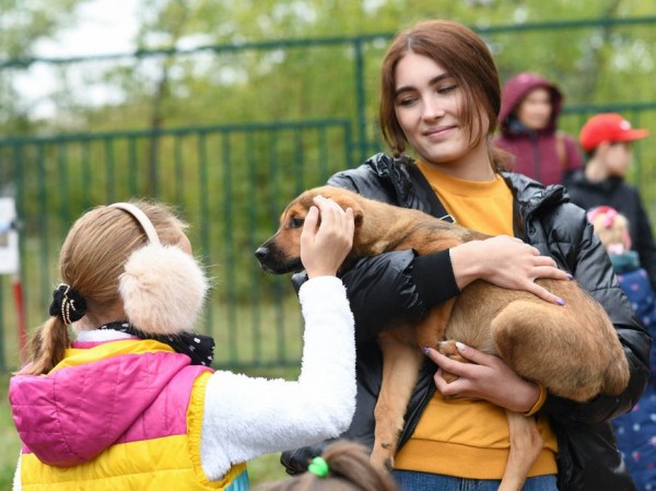 На акции &laquo;Лапа дружбы&raquo; в парке им.Урицкого хозяев обрели четыре собаки из приюта