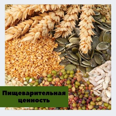 Пищеварительная ценность злаковых и бобовых трав для молочных животных