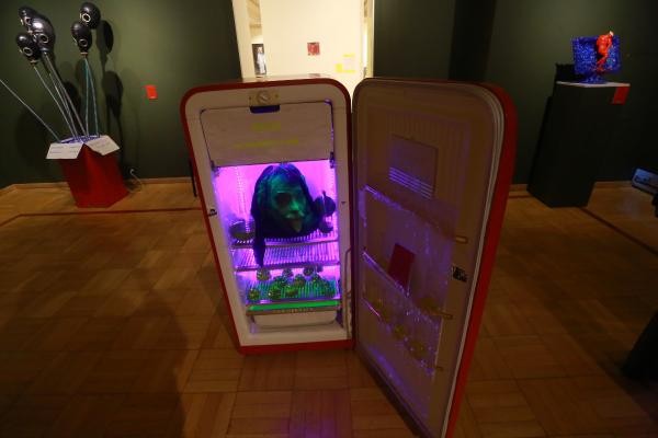 «Ироды, провокаторы, креста на них нет…»: в Казани открылась выставка-протест молодых творцов