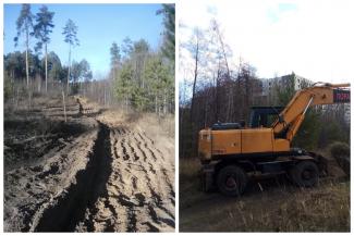 Привыкли руки к топорам: в Казани снова вырубают уникальный Солдатский лес