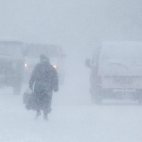 Человечеству предрекли глобальный кризис грядущей зимой