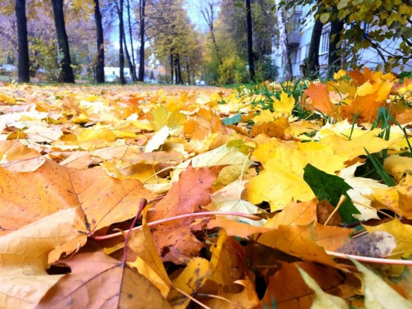 Предстоящей ночью температура воздуха в Казани понизится до минус 5 градусов